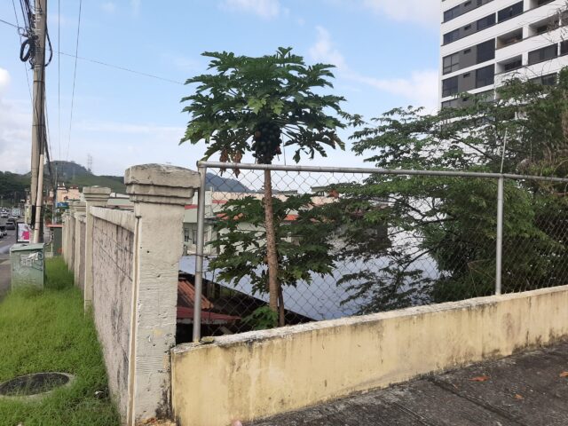 20191220_155634-scaled-1.jpg