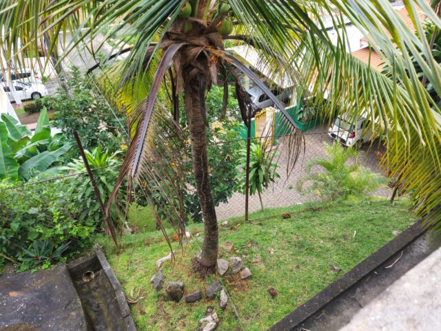 20201203_115845-scaled-1.jpg