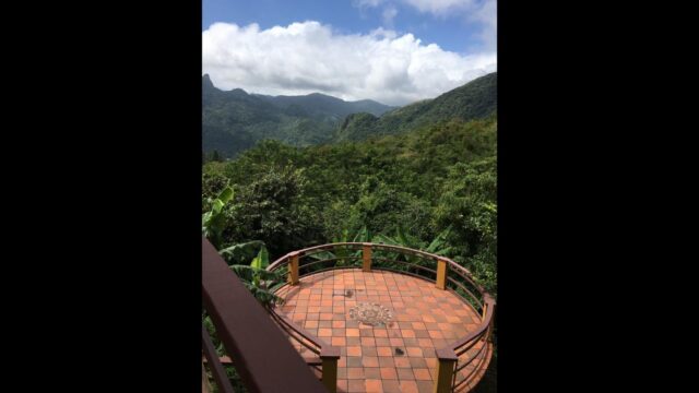 WhatsApp-Image-2022-09-16-at-11.23.46-AM-1.jpeg